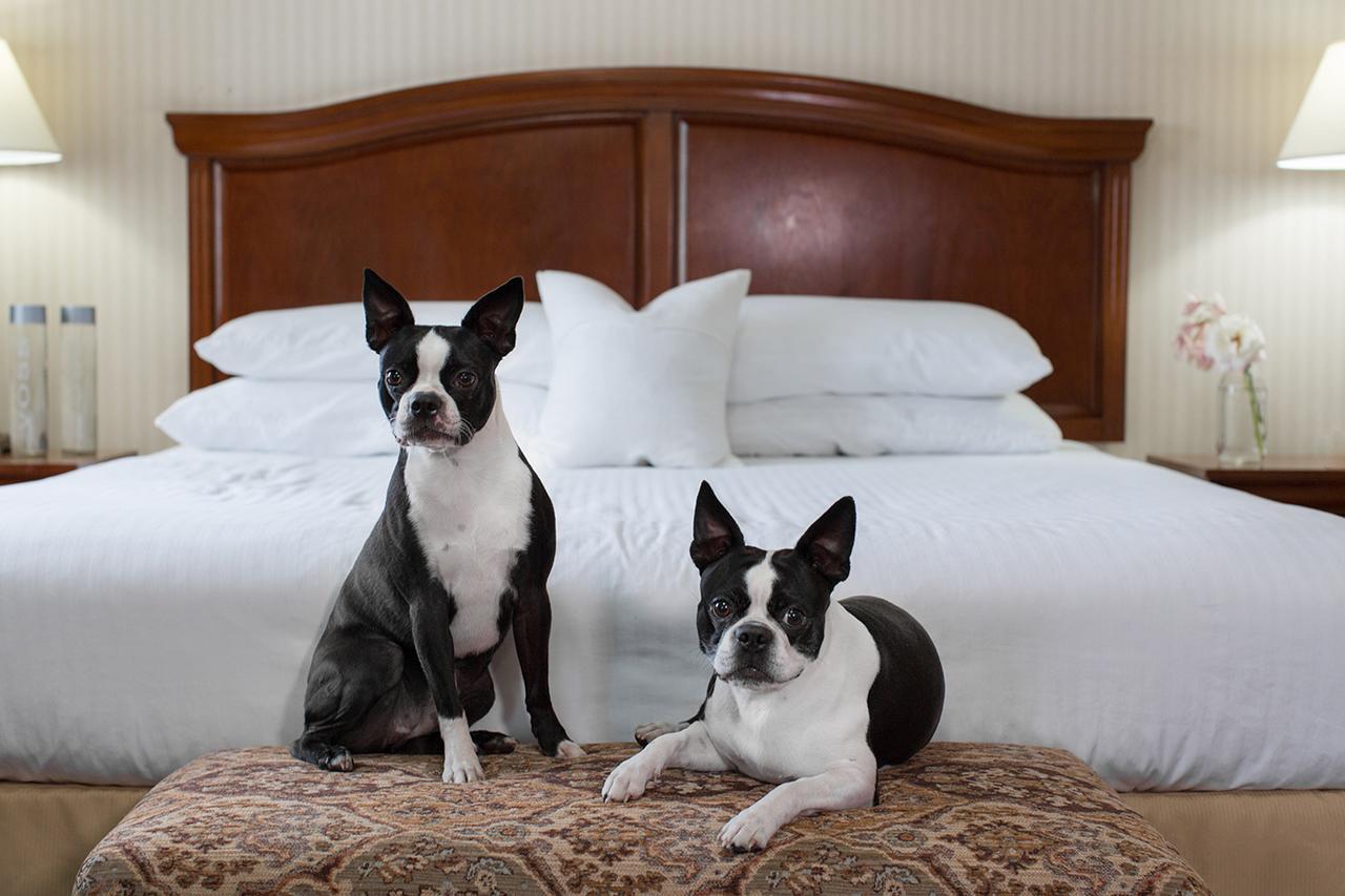Rogue Regency Inn & Suites Medford Dış mekan fotoğraf